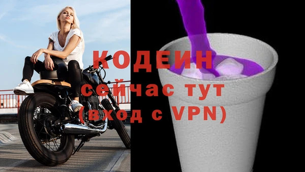 хмурый Россошь
