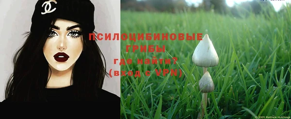 твердый Рославль
