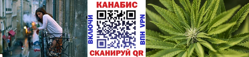 Каннабис сатива Калачинск